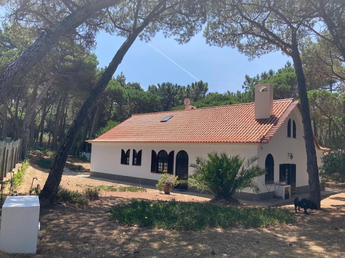 סינטרה Moradia No Pinhal Com Piscina - Espaco E Privacidade Para As Suas Ferias! מראה חיצוני תמונה