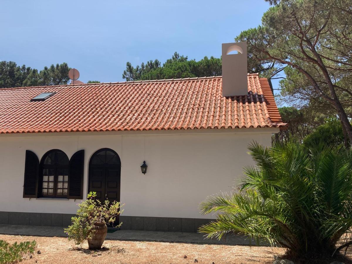 סינטרה Moradia No Pinhal Com Piscina - Espaco E Privacidade Para As Suas Ferias! מראה חיצוני תמונה